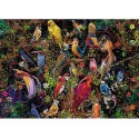 Puzzle Ravensburger Aves de Arte 1000 Piezas