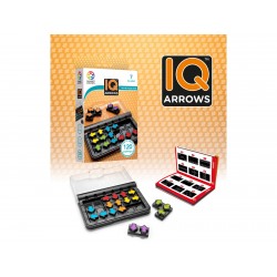 IQ Arrows Smart Games