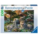 Puzzle  de Ravensburger Lobos en Primavera de 1500 Piezas