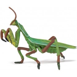 Mantis religiosa