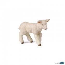 Cordero Merinos