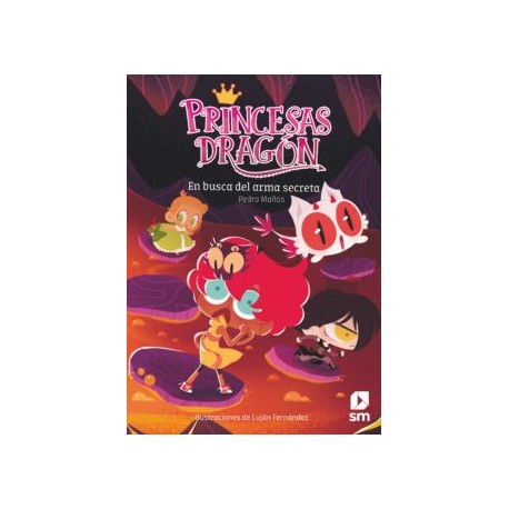 PRINCESAS DRAGON 13: EN BUSCA DEL ARMA SECRETA