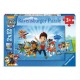 Ryder y Paw Patrol