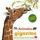 ANIMALES GIGANTES