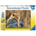 Puzzle Ravensburger Pequeño León XXL de 200 Piezas