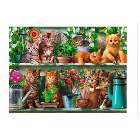 Puzzle Ravensburger 500. Gatos en el estante