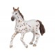 YEGUA APPALOOSA PAPO