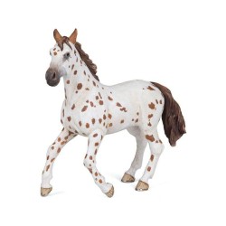 YEGUA APPALOOSA PAPO