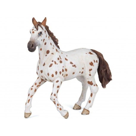 YEGUA APPALOOSA PAPO