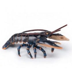 Figura Papo Langosta