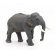 ELEFANTE ASIATICO PAPO
