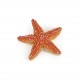 Figura Papo Estrella de mar