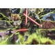Puzzle Ravensburger Villanos Marvel: