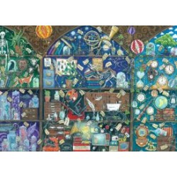 Puzzle Ravensburger 1000 piezas - Estantería de Curiosidades