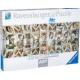Puzzle Ravensburger 1000 piezas - Capilla Sixtina
