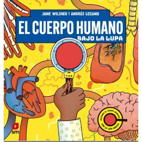 EL CUERPO HUMANO BAJO LA LUPA