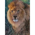 Puzzle Ravensburger de 1500 piezas El Rey de los animales