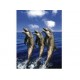 Puzzle Schmidt de 1500 piezas Delfines