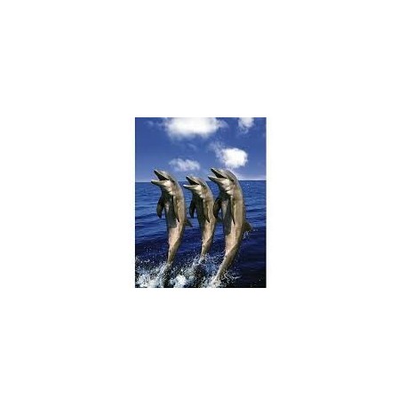 Puzzle Schmidt de 1500 piezas Delfines