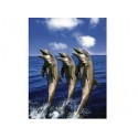 Puzzle Schmidt de 1500 piezas Delfines