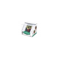 Gear Cube