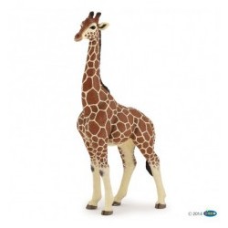 Figura Kudu