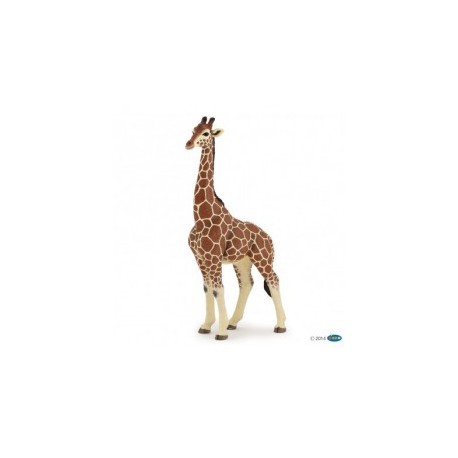 Figura Kudu