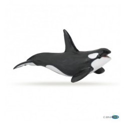 Figura Orca