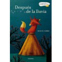Después de la lluvia